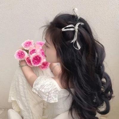 小绿和小蓝第五季免费在线观看封面